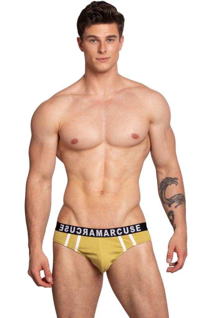 Marcuse men's underwear Passant briefs