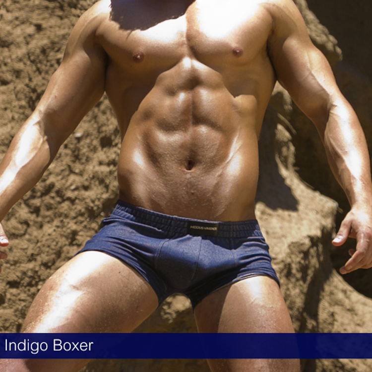 modus-vivendi-indigo-boxer