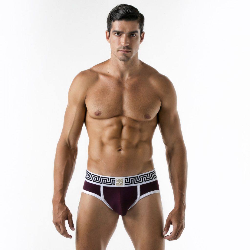 Code 22 underwear - Rome Briefs grape red