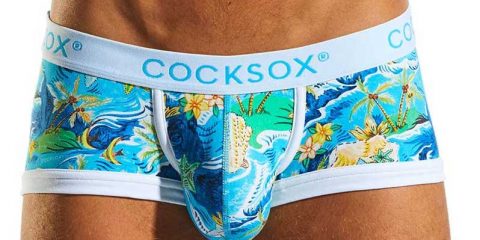 Cocksox underwear