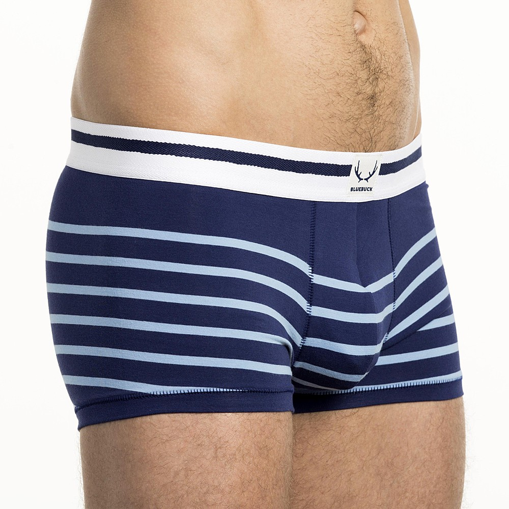 Bluebuck underwear - navy trunks light blue stripes