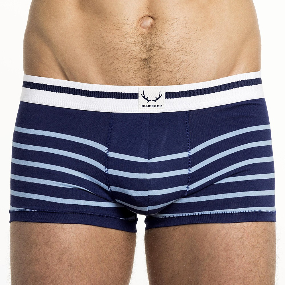 Bluebuck underwear - navy trunks light blue stripes