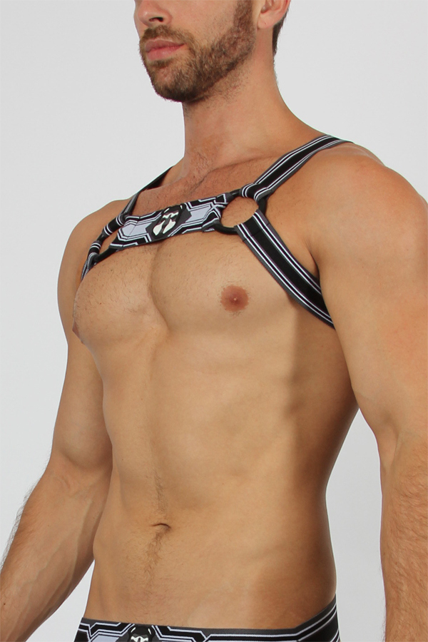 Cellblock13 harness - Kennel club 