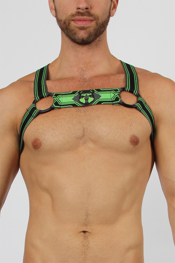 Cellblock13 harness - Kennel club 