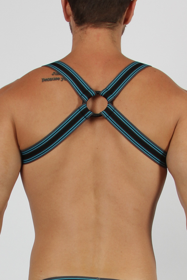 Cellblock13 harness - Kennel club 