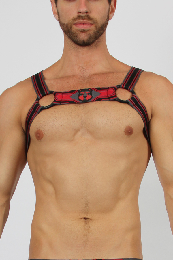 Cellblock13 harness - Kennel club 