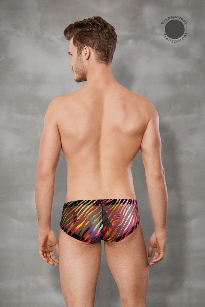Doreanse underwear - Rainbow Zebra Mesh Bikini