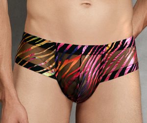 Doreanse underwear - Rainbow Zebra Mesh Bikini