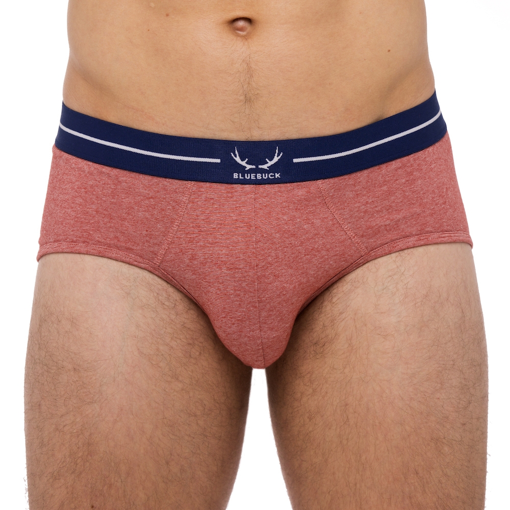 Bluebuck underwear - brick recycled mens briefs