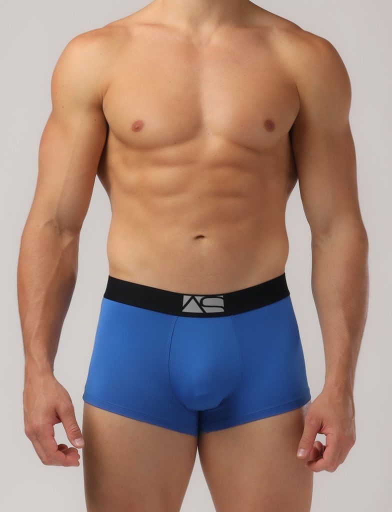 Adam Smith - Perfect Boyshorts - Blue