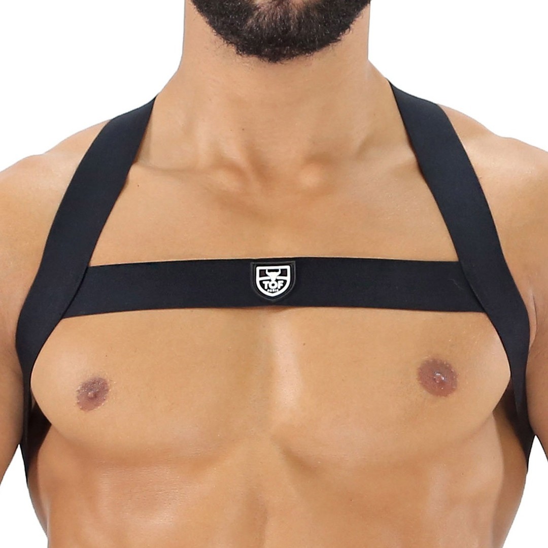 A "classic" H shaped harness, perfect to wear for play at home, out clubbing but also as a fashion accessory over a t-shirt or a shirt. Check out the Fetish Elastic Harness by TOF Paris:
https://menandunderwear.com/shop/accessories/tof-paris-fetish-elastic-harness-black