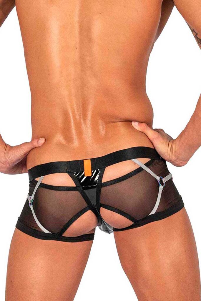 Private Structure Alpha Low Waist Harness Trunk Boxer Brief
