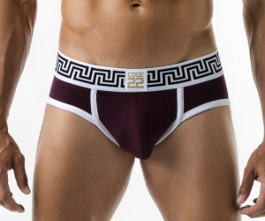 Code 22 underwear - Rome Briefs grape red