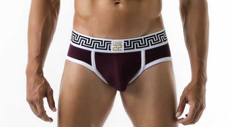 Code 22 underwear - Rome Briefs grape red