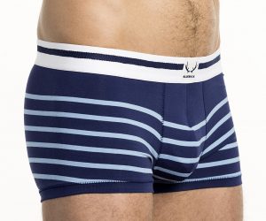 Bluebuck underwear - navy trunks light blue stripes