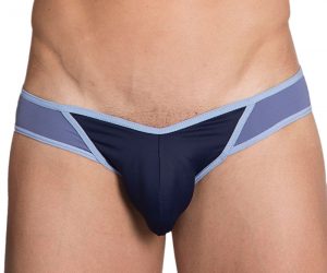 Hidden Stripe Side Cheeky Bikini