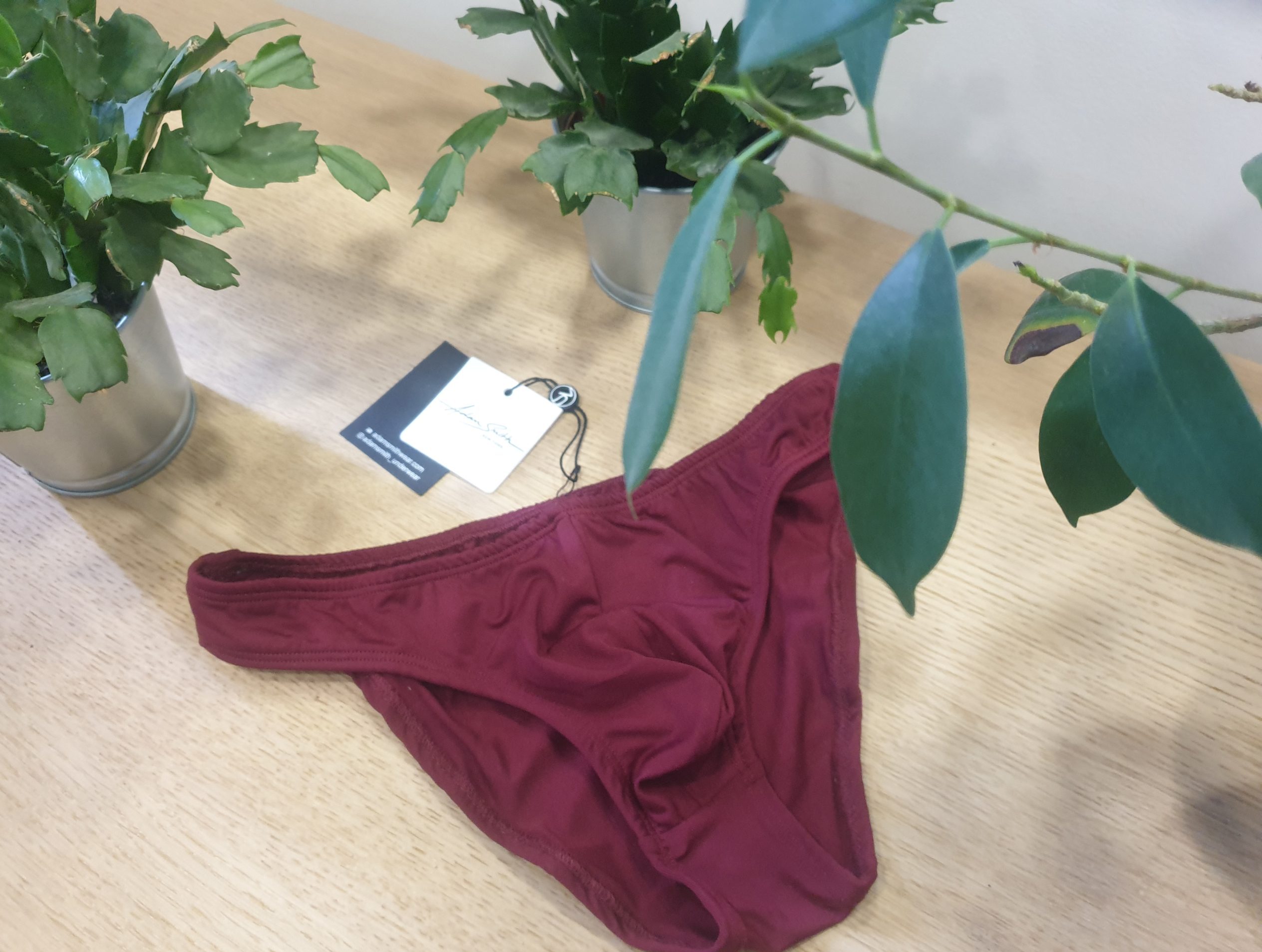 Adam Smith - Bikini Briefs - Burgundy