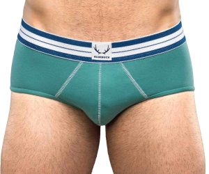 BLUEBUCK underwear green brief