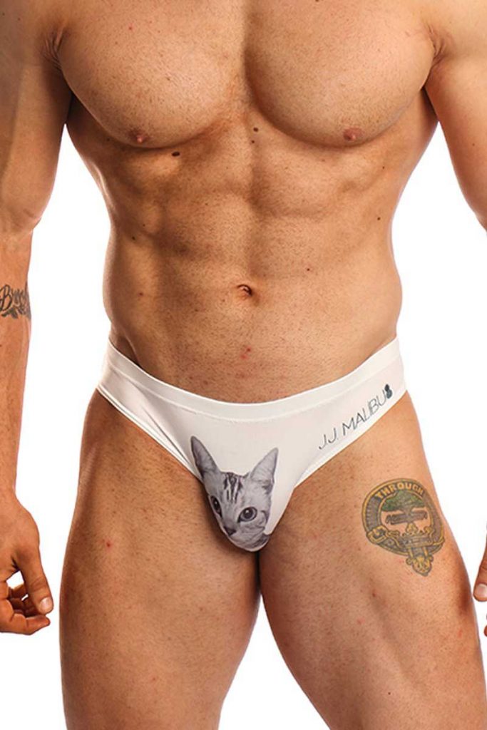 Underwear Suggestion: JJ Malibu - Kitty Classic Brief