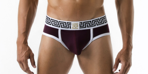 Code 22 underwear - Rome Briefs grape red