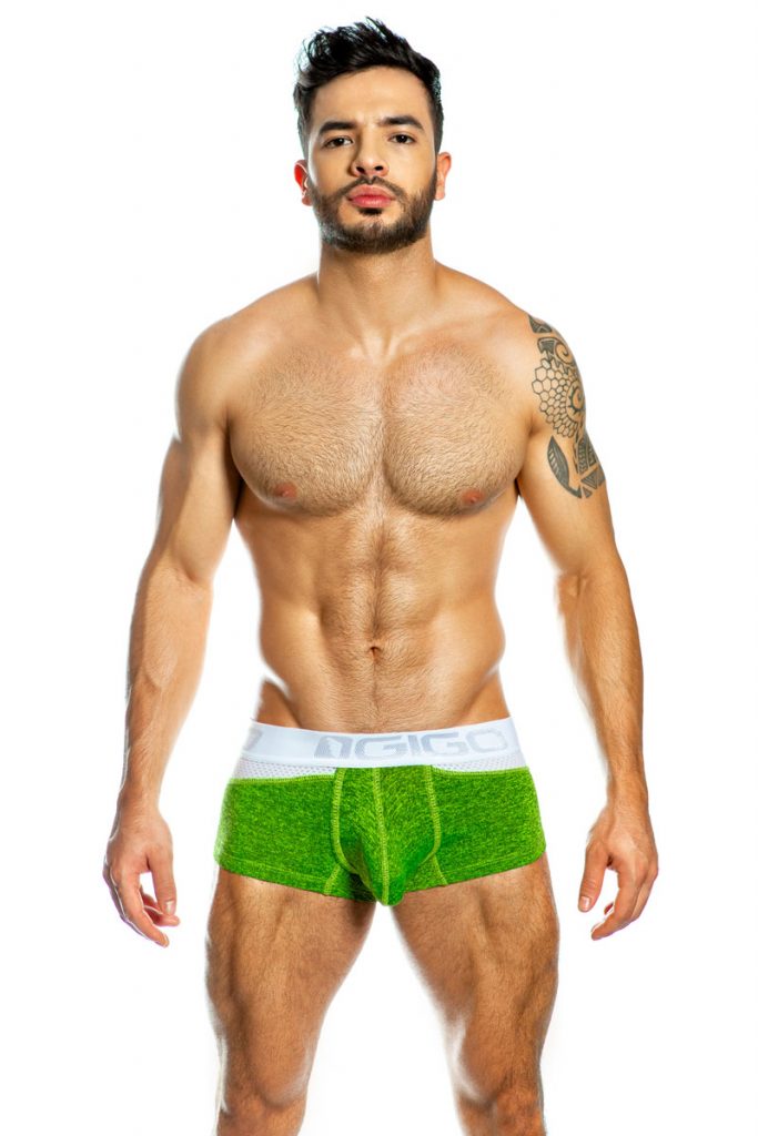 GIGO underwear - Combnet Green boxer