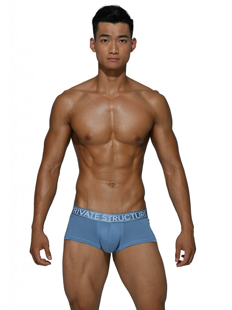 Private Structure Designer Men's Underwear - Trunks, Briefs from