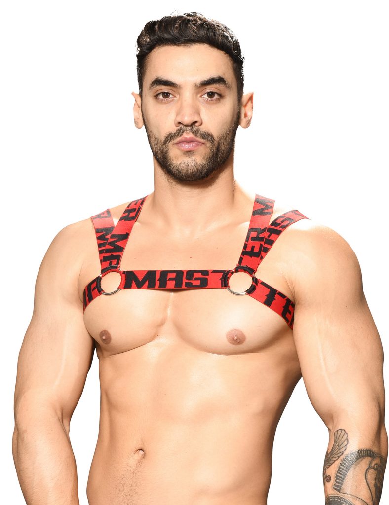 Andrew Christian - Harness - Master Ring Harness 3199 Harness