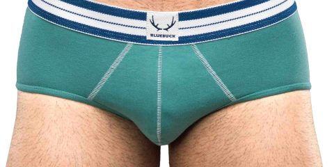 BLUEBUCK underwear green brief