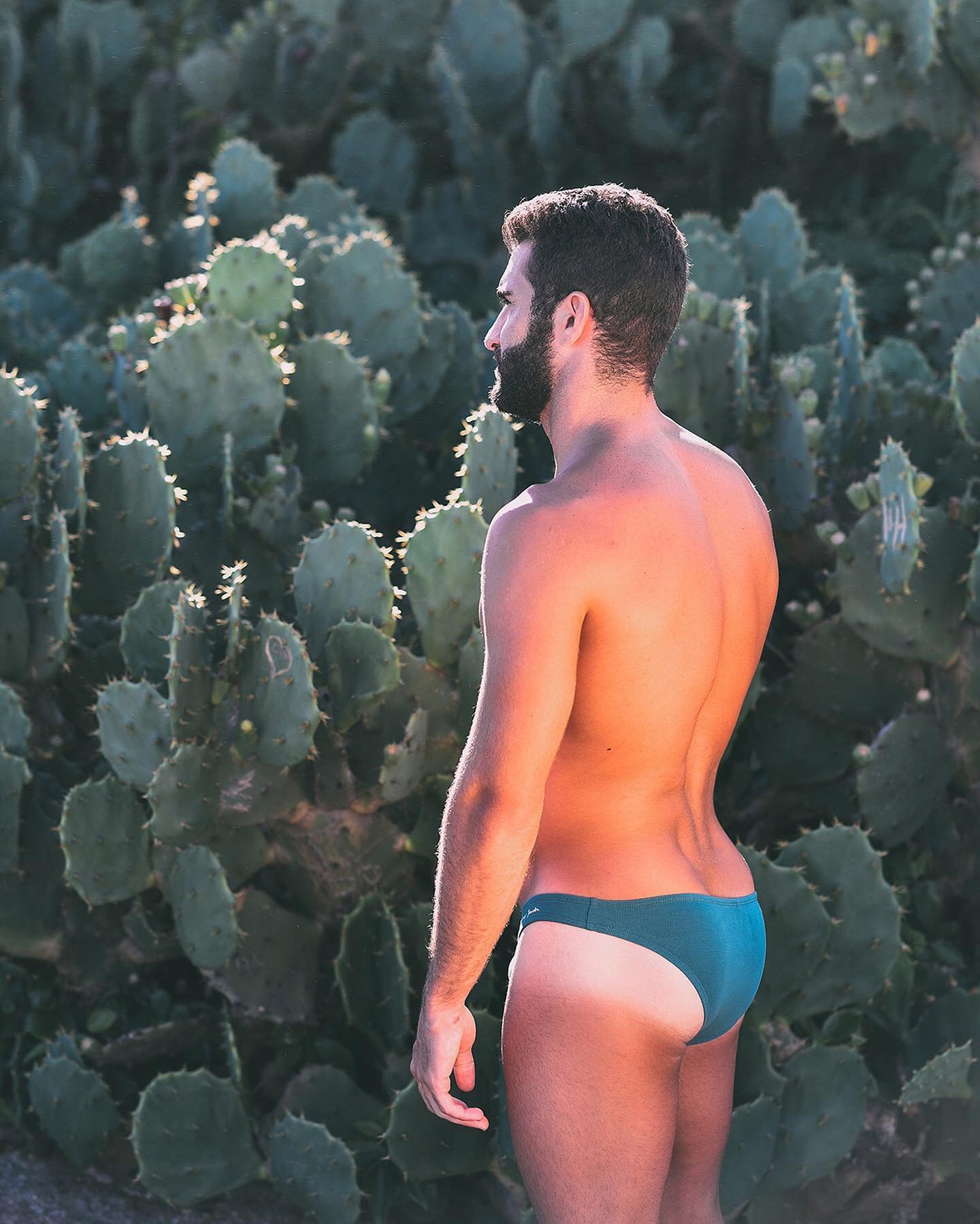 The new Micro Briefs from Walking Jack are a perfect little pair of bikini briefs for men in teal; they are also available in three more colours. Check it out:
_____
menandunderwear.com/shop